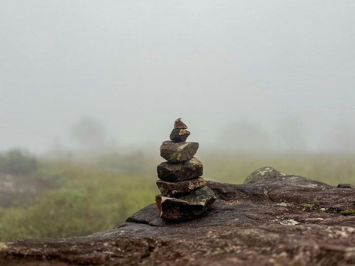 Evocative Leadership Mastery